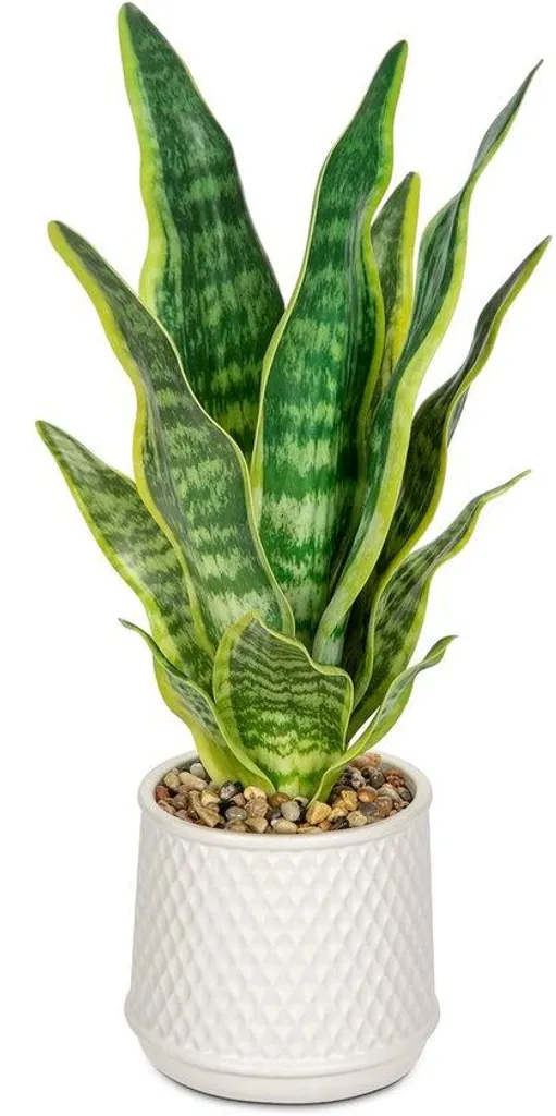 Sansevieria Artificielle 44cm sans Entretien - Pot Céramique Blanc
