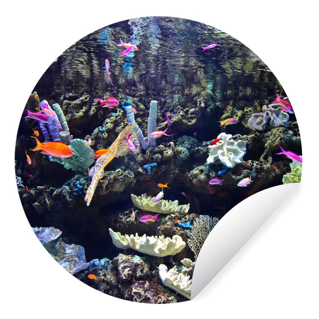MuchoWow Runde Wandtattoo - Wandsticker Tapete Aufkleber Buntes Aquarium Ø 50 cm Selbstklebend und Repositionierbar - Wandaufkleber - Kreis - Wa...