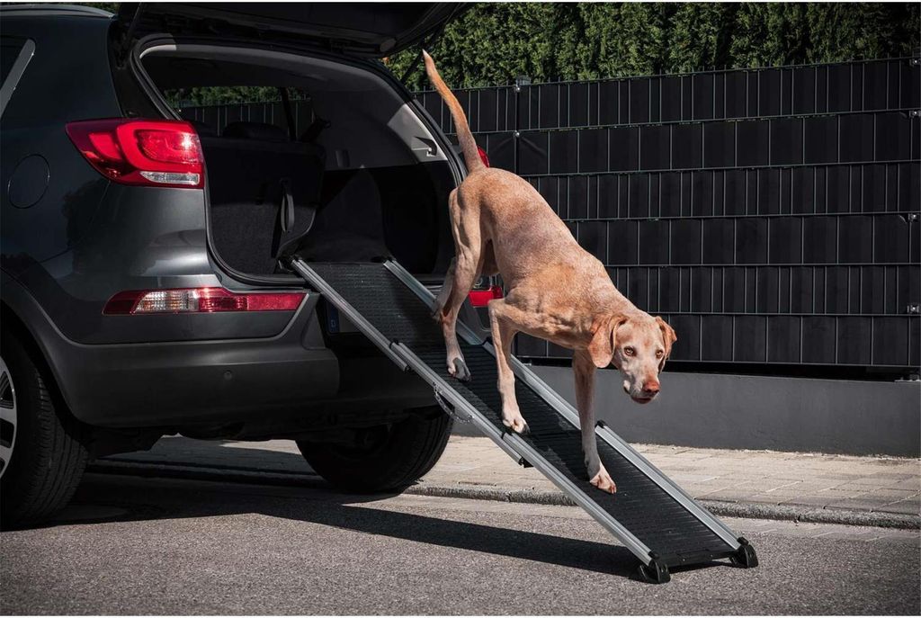 Dreiteilige Teleskop Hunderampe Hundetreppe CHARLESTON Produktbild 10