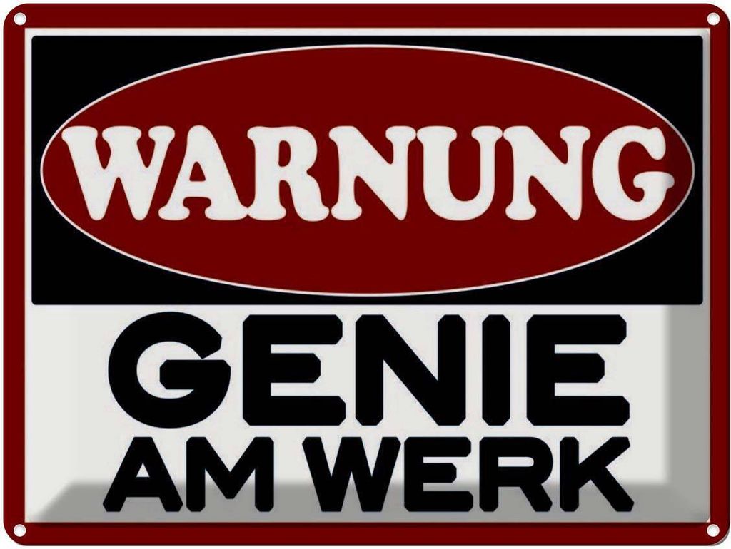 vianmo Blechschild 30x40 cm Warnung Genie am Werk Spruch Zitat