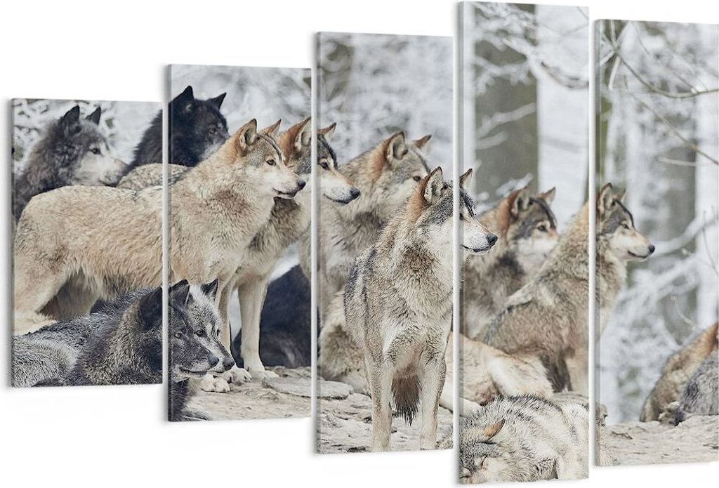 Bild auf Leinwand - Leinwandbild - 5 Teile - Rudel Wölfe Winter - 150x100cm - Wand Bild - Wanddeko - Wandbilder - Leinwanddruck - Bilder - Wanddek...