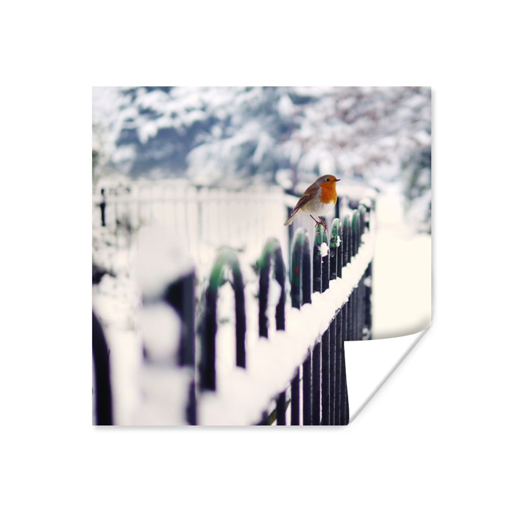 Poster - Schnee - Rotkehlchen - Zaun - 75x75 cm