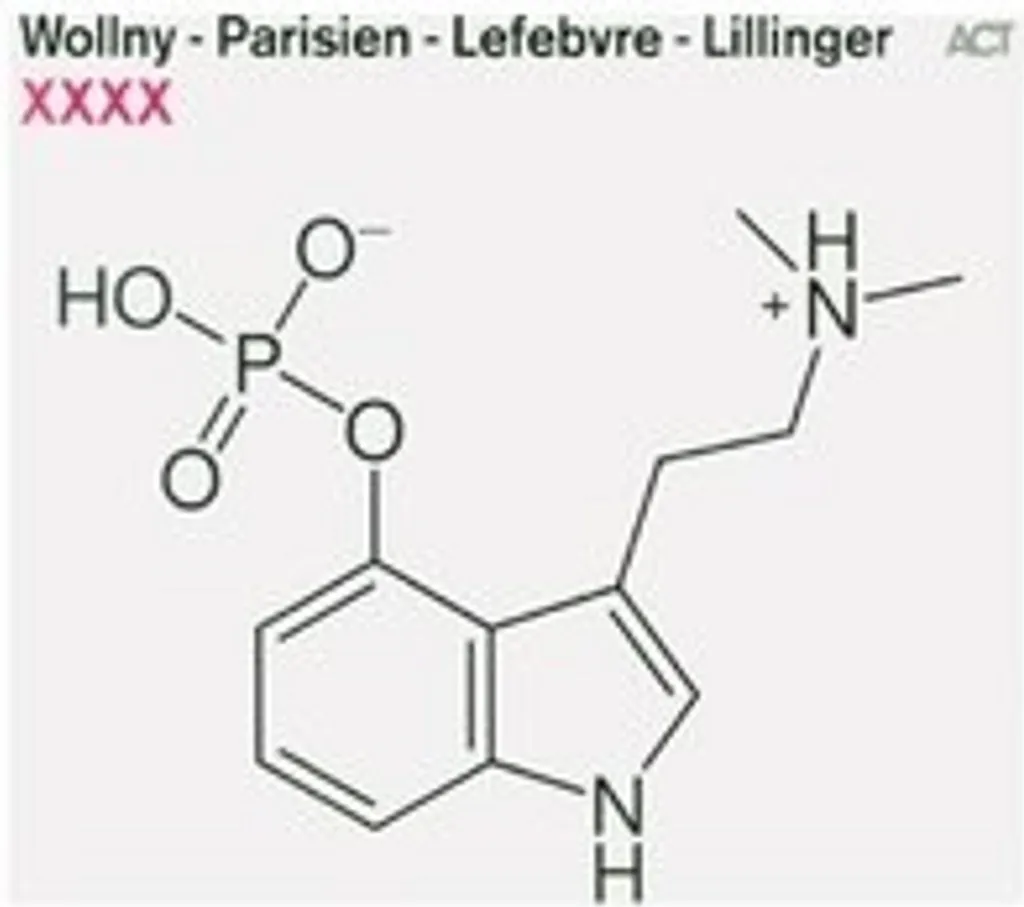Bouteille Isotherme 500ml Idéale pour le Bureau le Sport et la Rando