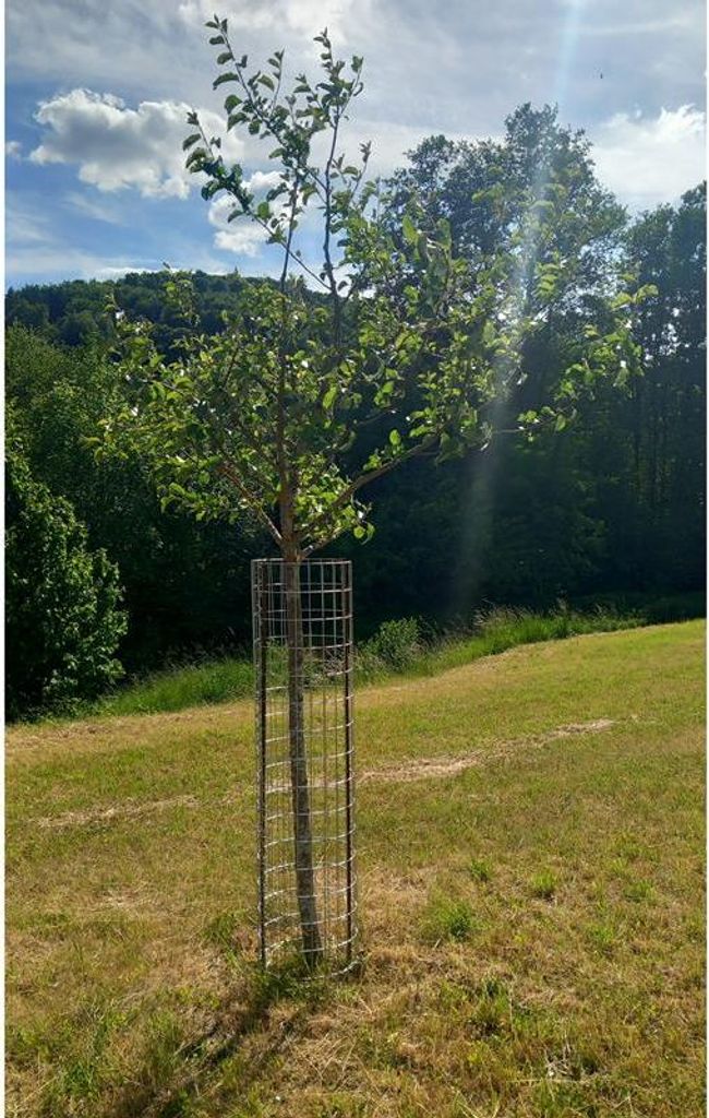 Gabione Steingabionen Steinkorb Höhe 160 cm Drahtkorb Produktbild 
