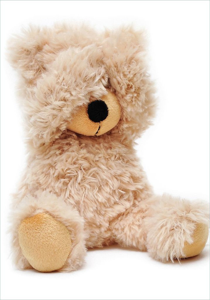 Wallario Poster - Süßer Teddybär, Kunstdruck Größe: 70 x 100 cm