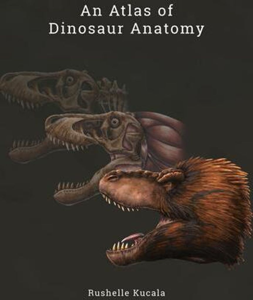 An Atlas of Dinosaur Anatomy