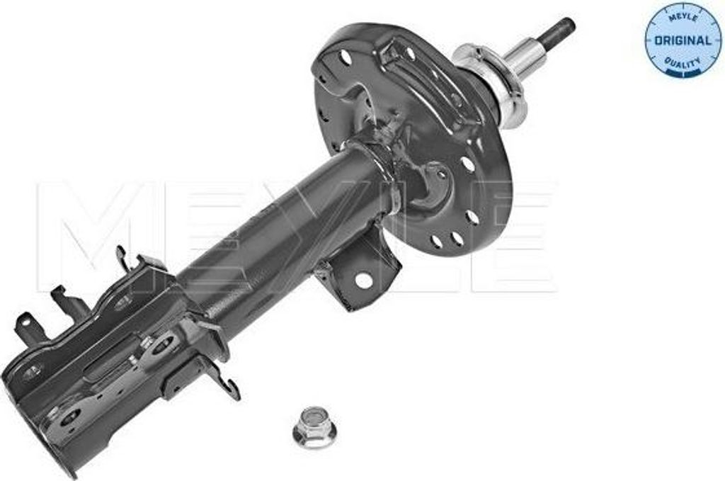 MEYLE Stoßdämpfer Vorne Links für FIAT QUBO (225) Federbein 40-26 623 0013