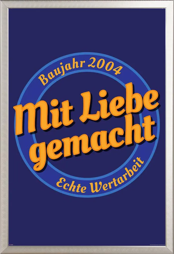 Poster 2004 + Cornice Shinsuke Maxi Alluminio Argento 61x91,5