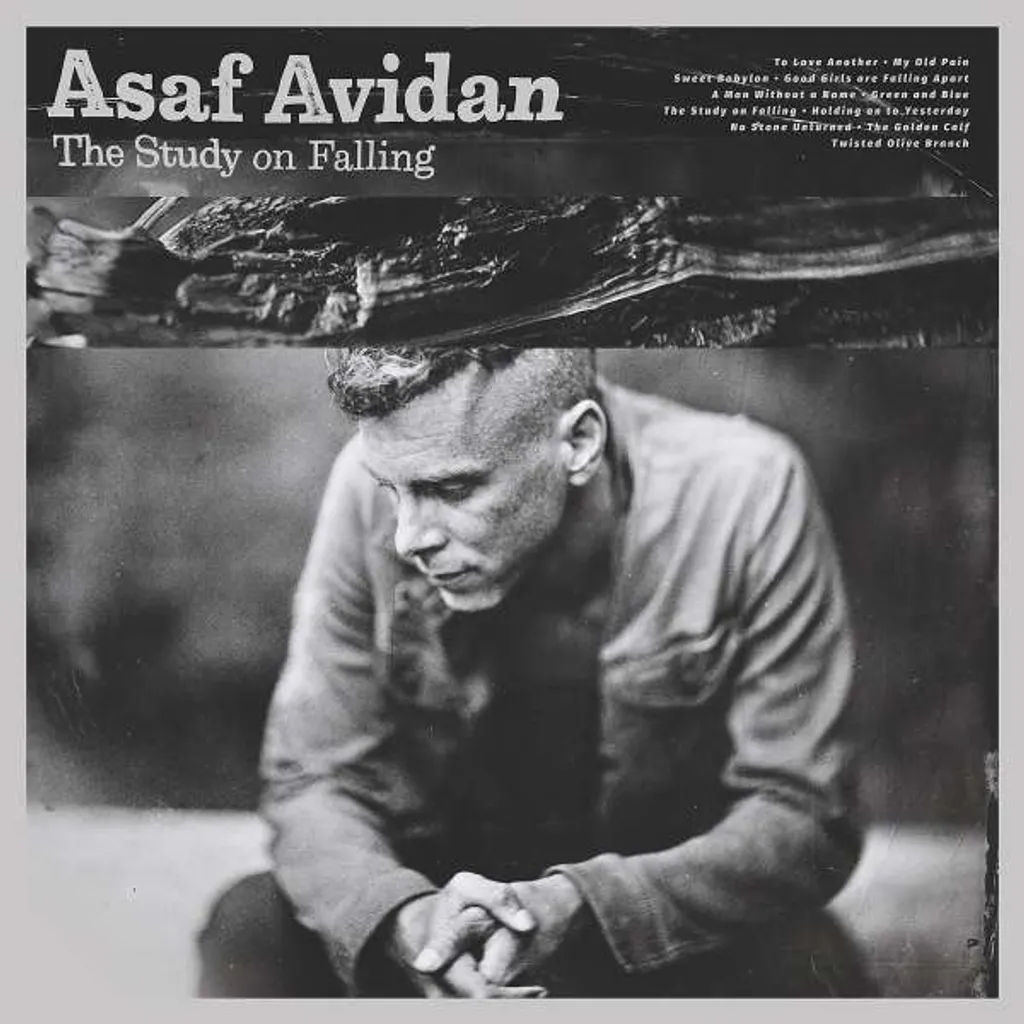 L'étude sur la chute - Asaf Avidan - Voix Unique et Folk-Rock