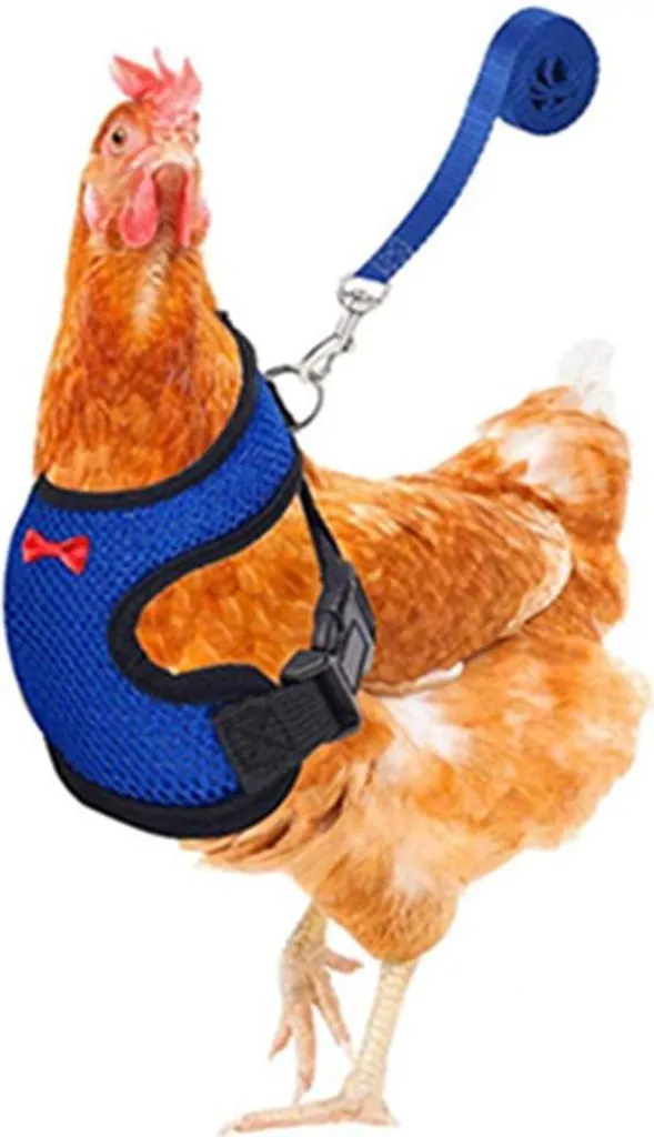 Imbracatura Moda per Galline e Anatre - Gilet Outdoor con Guinzaglio