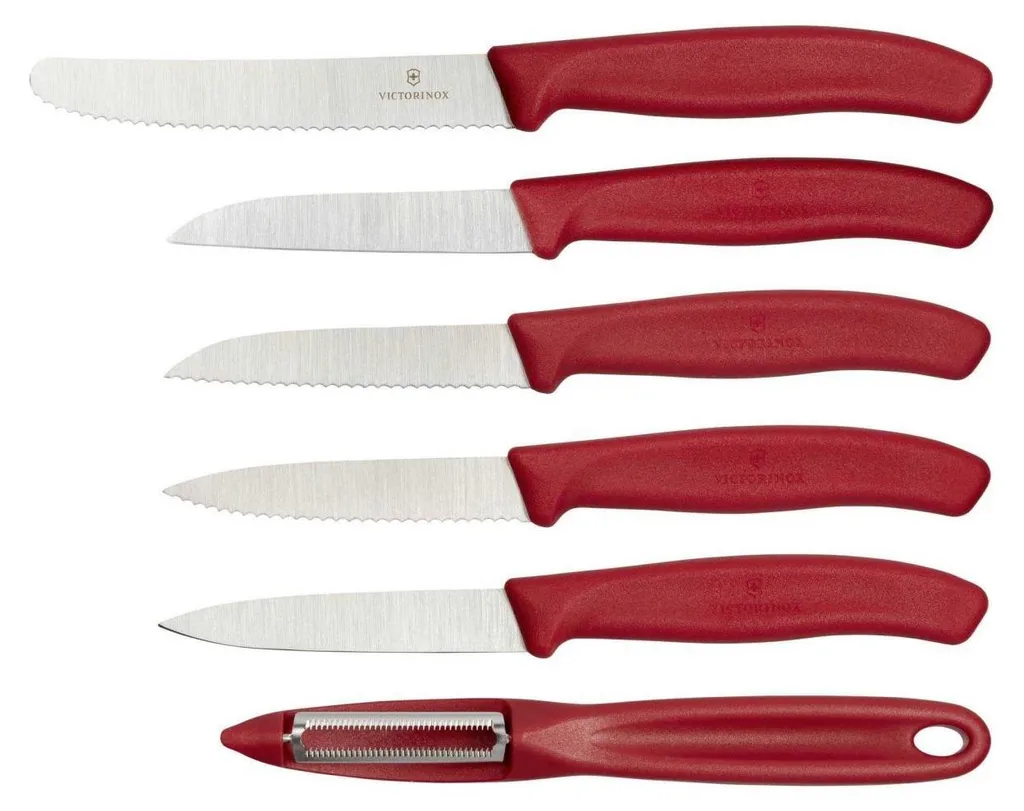 Victorinox 6.7111.6G Set 6 Pezzi: I Migliori Coltelli per la Famiglia