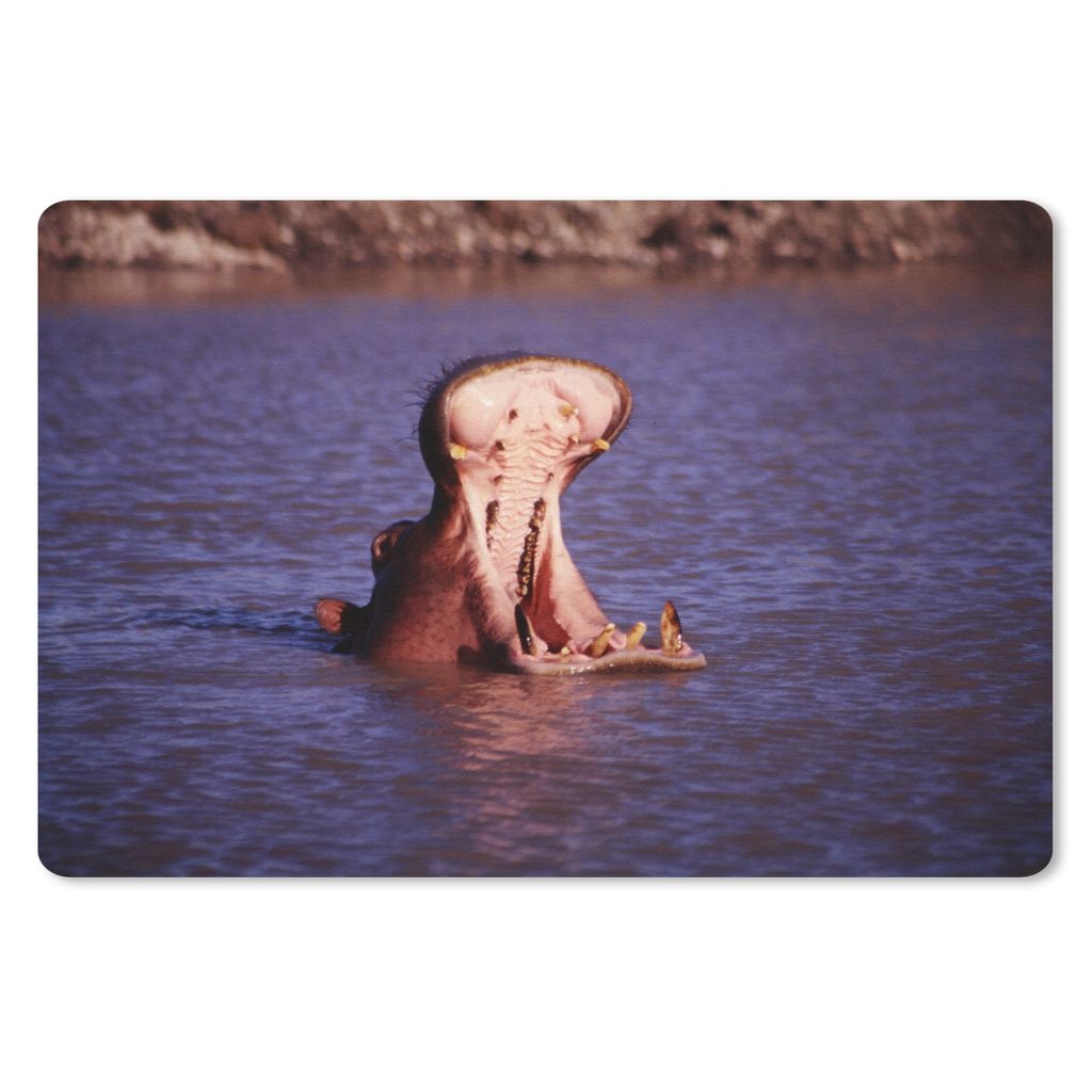 MuchoWow Mauspad Mousepad Nilpferd - Wasser - Schnabel 27x18 cm - Mousepads - Maus Mat - Pad - Mausunterlage - Büroartikel - Desk Matten