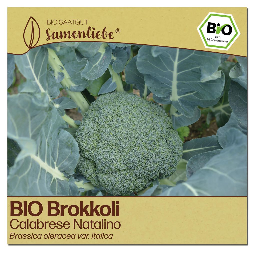 Samenliebe  Brokkoli Samen | Natalino - winterhart & grün - Produktbild 