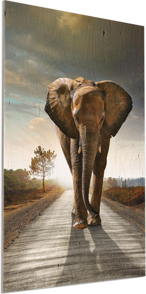 DEQORI Holzbild 60x90 cm 'Elefant auf Asphalt' Bild auf Holz Wandbild Kunstdruck