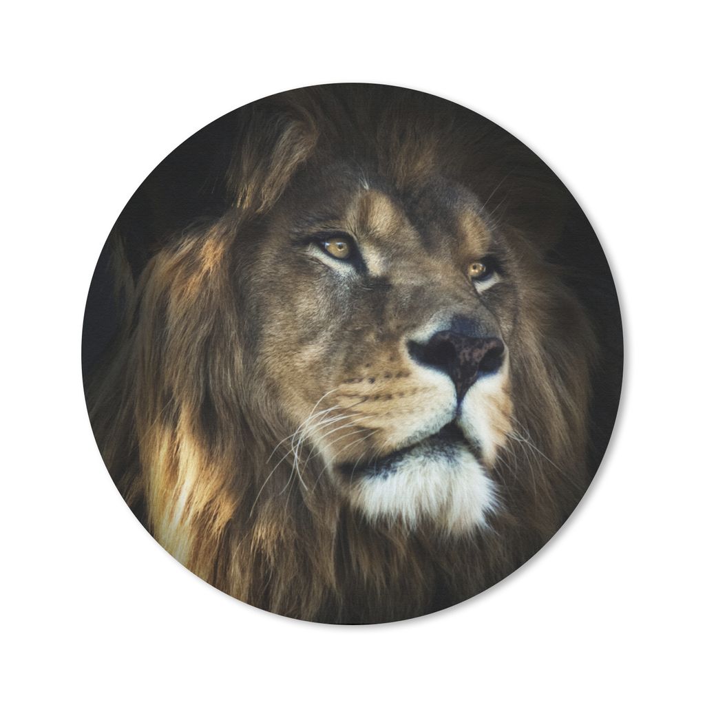 MuchoWow Mauspad Mousepad Löwe - Fell - Schwarz 50x50 cm - Mousepads - Maus Mat - Pad - Mausunterlage - Vinyl