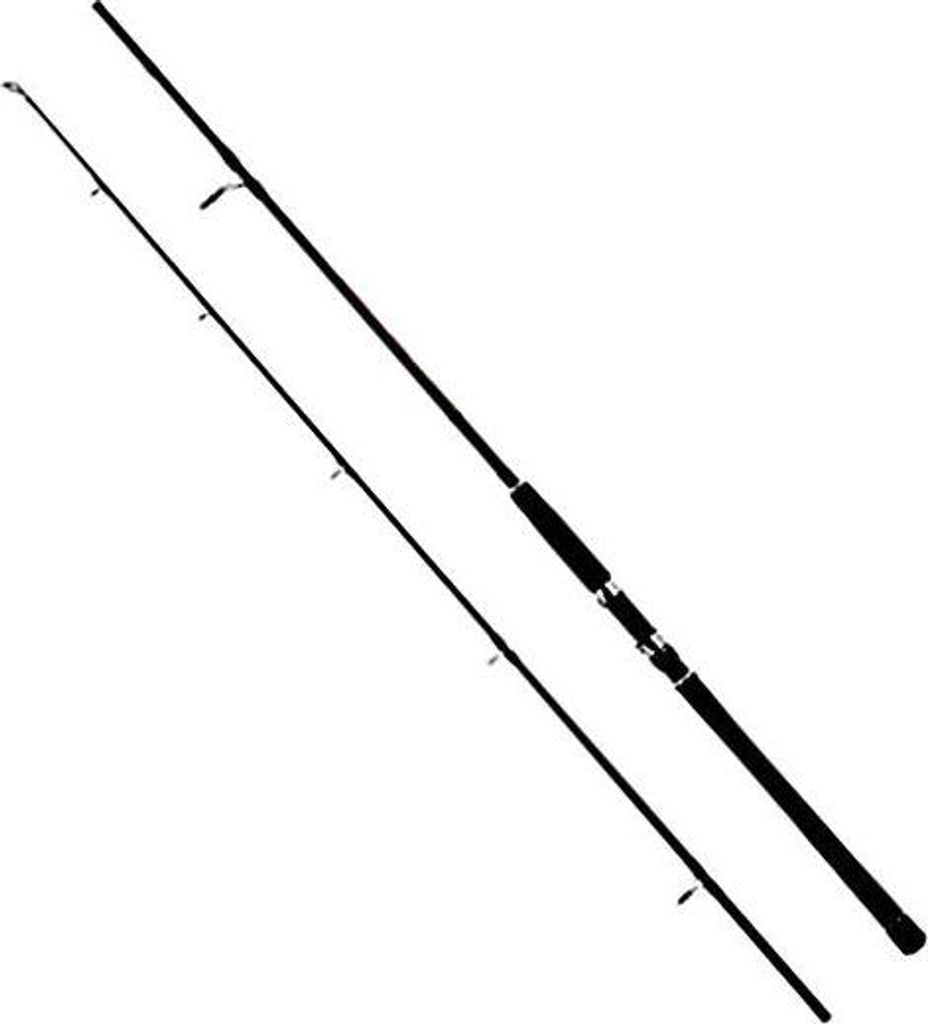 WFT Steckrute Never Crack plus High Carbon Jig & Pilk Länge 2,75m Wurfgewicht 40-160g