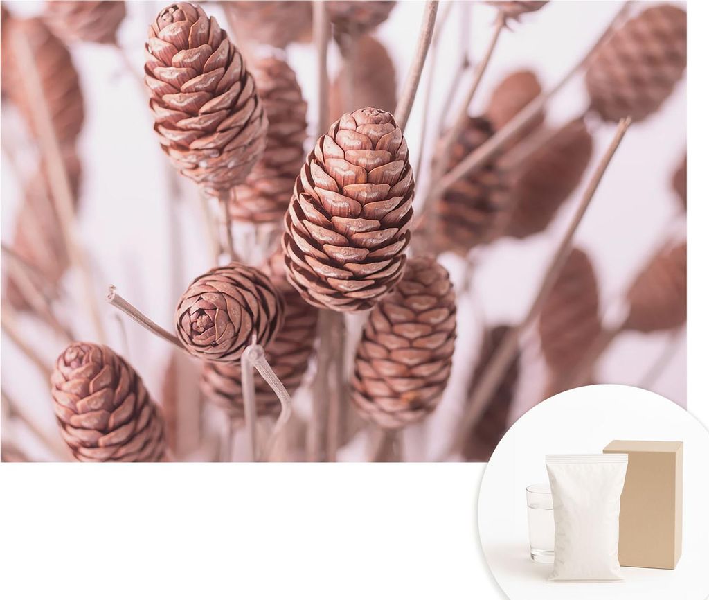 Fototapete - Wandbilder für Wohnzimmer - 104x70 cm - Dekorative Wandfolie - Modernes Design für Wanddekoration - Tapeten für Innenräume - Natü...