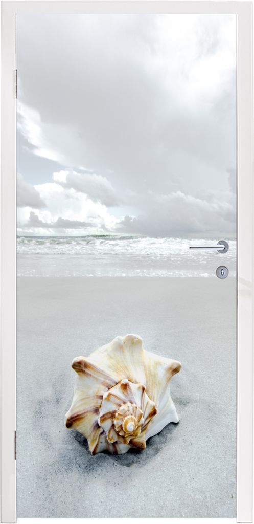 MuchoWow Türtapete Selbstklebende Türfolie Muschel - Strand - Himmel 85x215 cm Türposter Türaufkleber Klebefolie Türklebefolie - Aufkleber f...