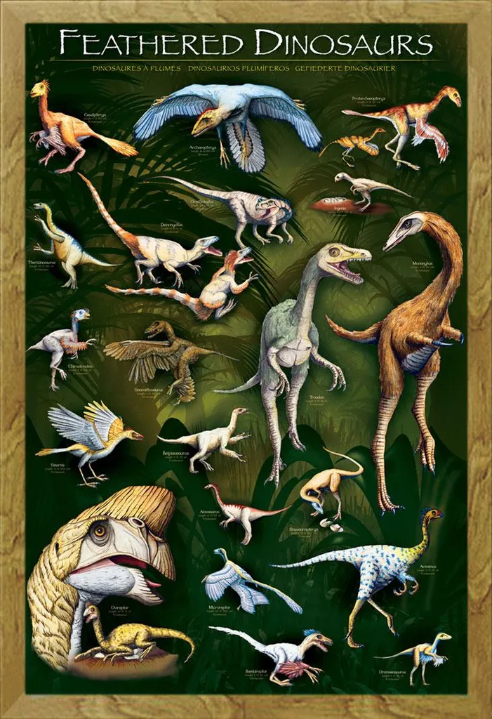 Poster Didattico Dinosauri Piumati e Cornice Shinsuke Rovere Elegante