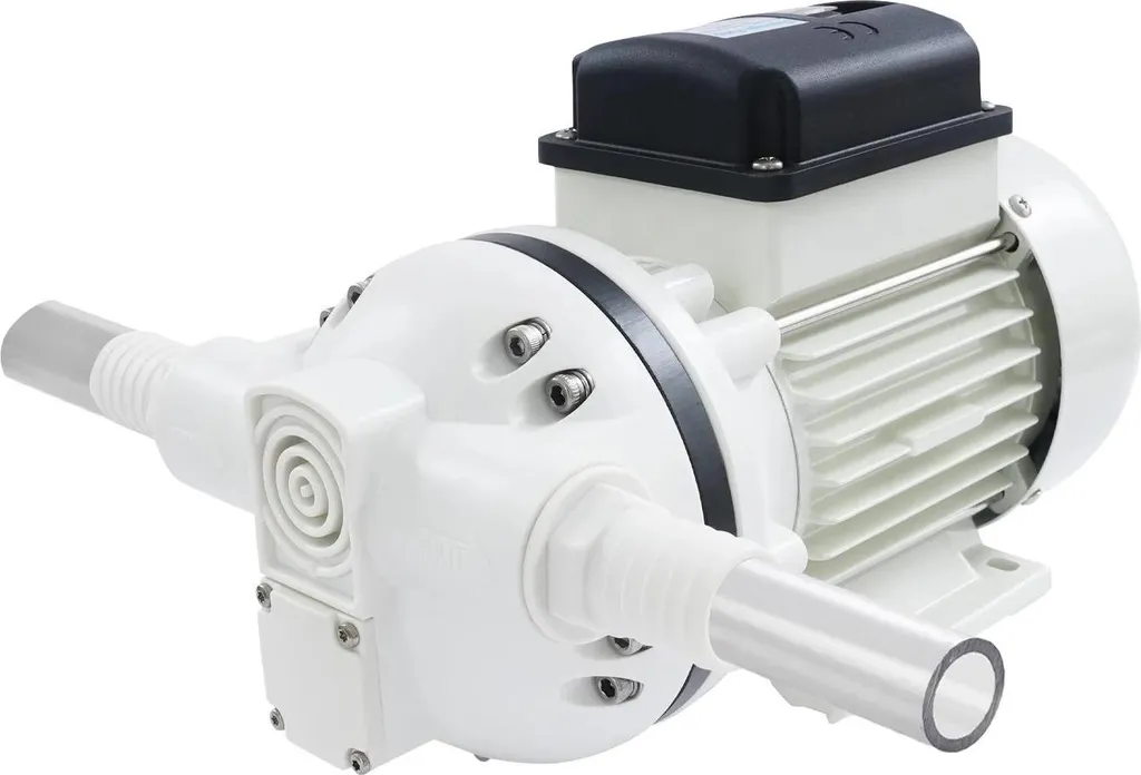 Pompe à diaphragme électrique 220V 40L/min pour transfert de fluides