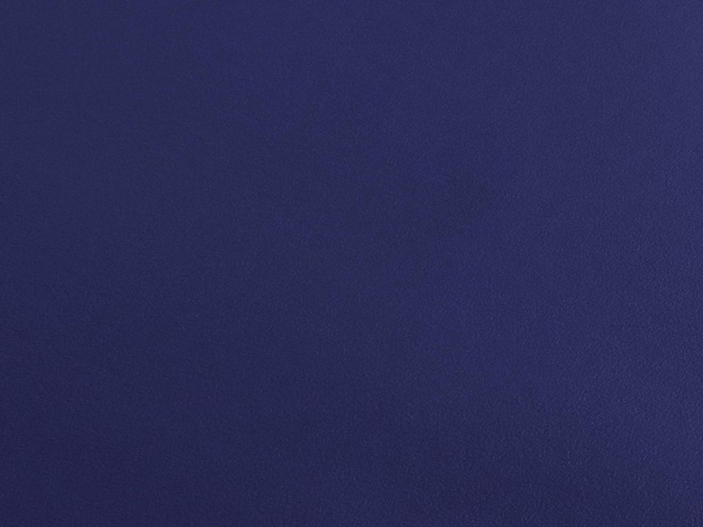 Primaflor PVC EXPOTOP - Blau - 2,00m x 3,00m - Messeboden, Vinyl-Boden für Küche, Wohn- und Badezimmer, Hochwertige Auslegware, Anti-Rutsch Boden...