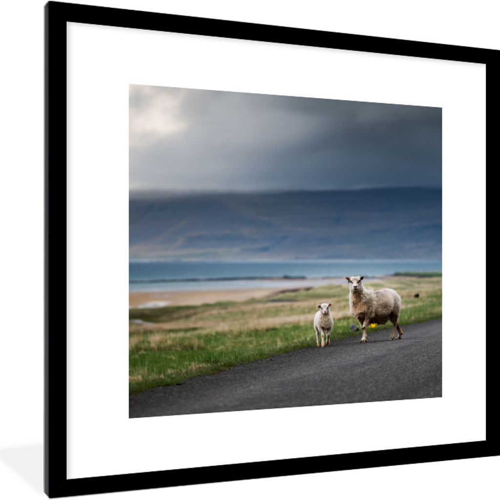 MuchoWow Gerahmtes Poster Schaf - Lamm - Sturm 40x40 cm - Poster mit Schwarzem Bilderrahmen Wandposter Rahmen Foto Bilder - Poster - Plakat im Ra...