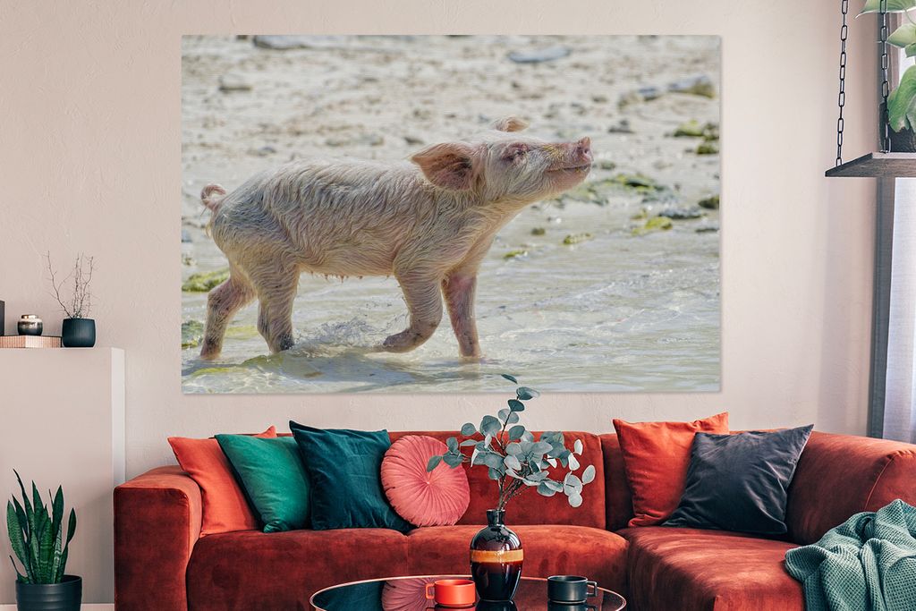 OneMillionCanvasses - Leinwandbilder - 150x100 cm, Schwein - Bahamas - Sand, Wandbilder Kunstdruck Wanddekoration