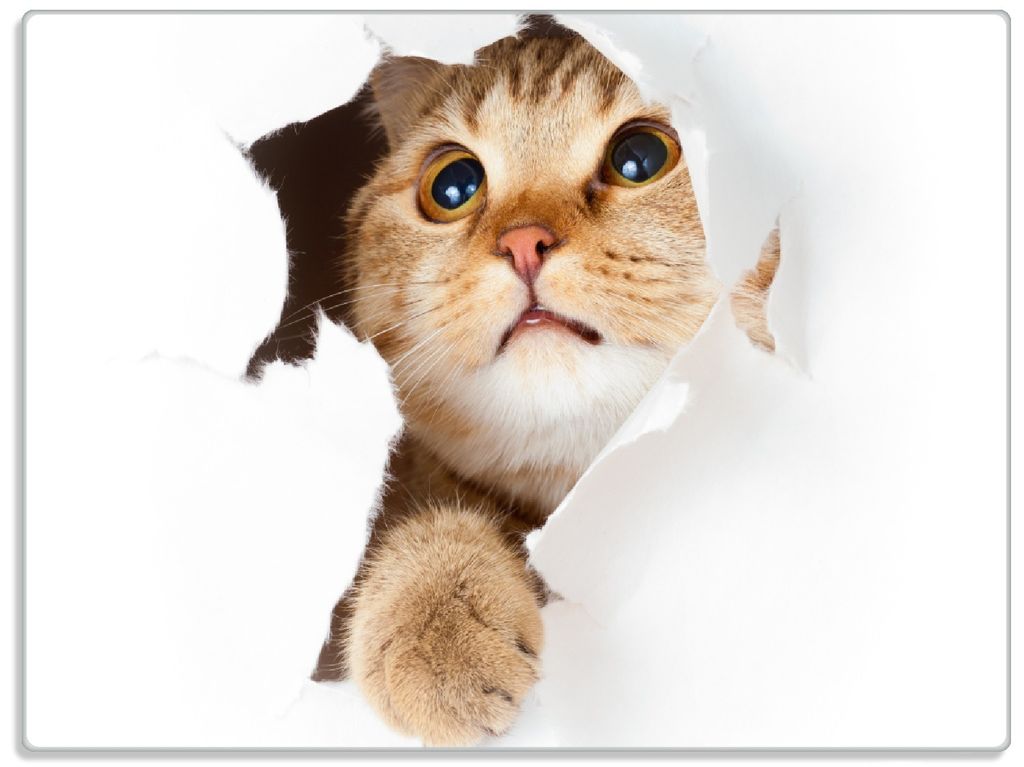 Wallario Glasunterlage, Schneidebrett aus Glas, Größe 30 x 40 cm, Motiv Katze mit Blick nach oben