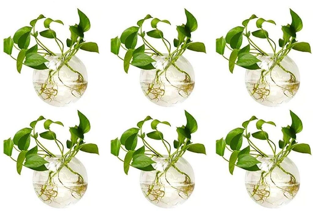Set van 6 glazen bloempotten om aan de muur te hangen Productafbeelding 