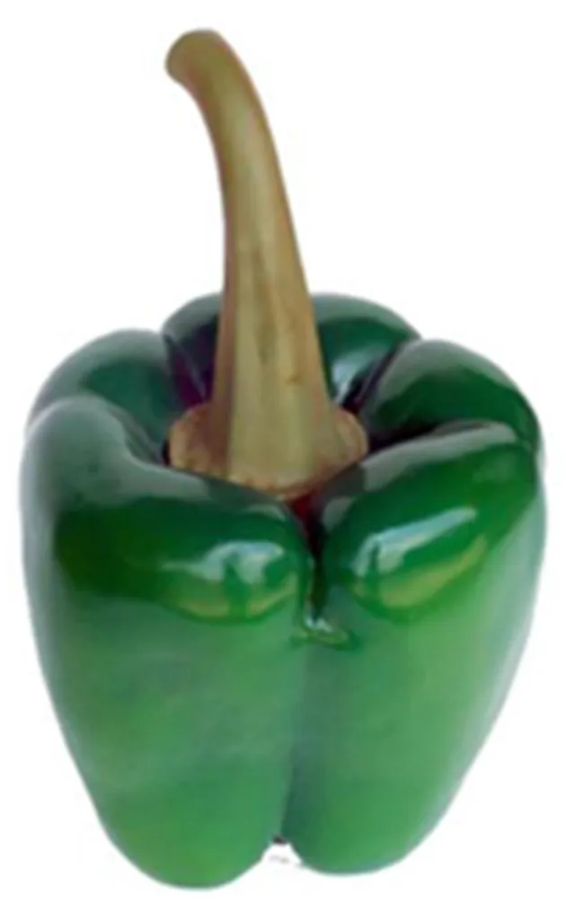 Sculpture design Paprika 58cm : Décoration d'exposition haute qualité