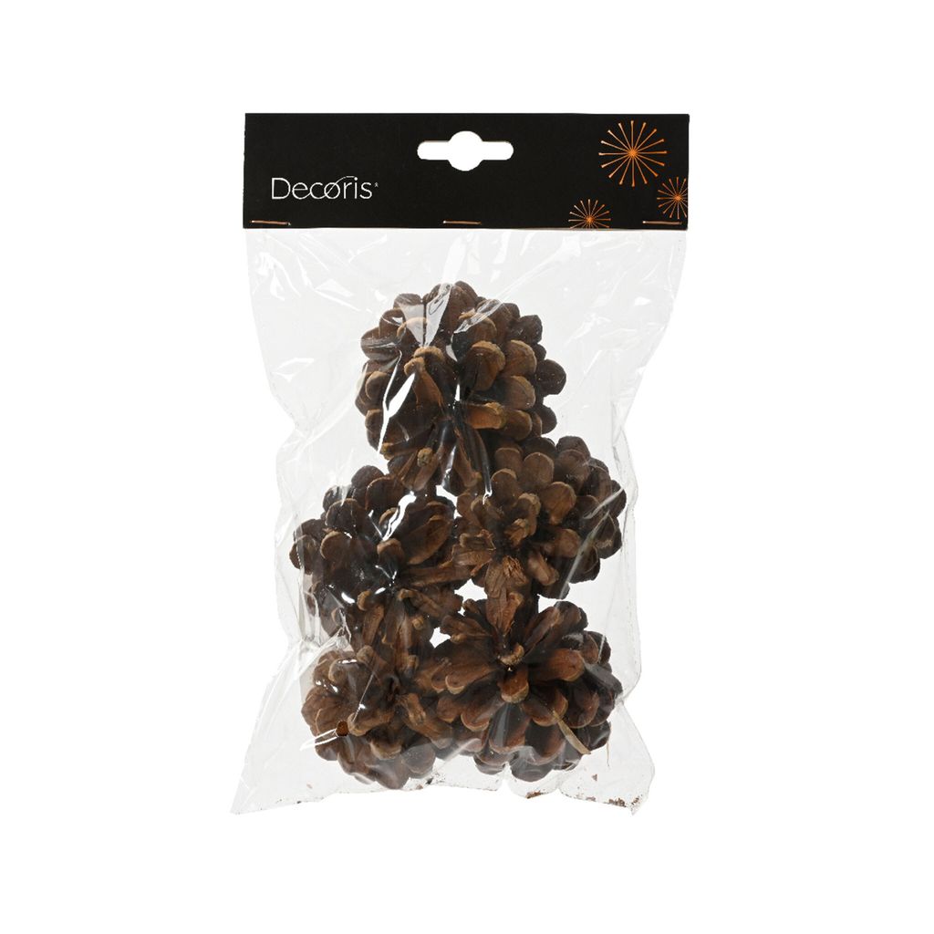 Tannenzapfen / Deko Naturzapfen 5-6cm braun 5er Set