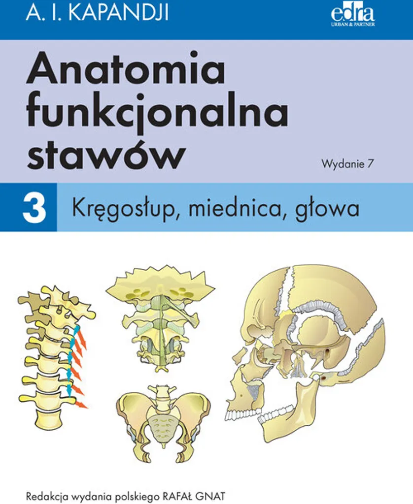 Atlas Anatomia Funkcjonalna Stawów Tom 3 avec Schémas de Biomécanique