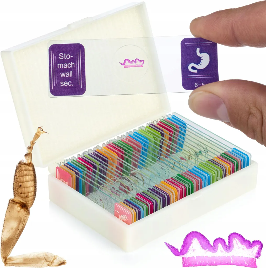 Microscope Uran Pro MBUP Haute Résolution avec coffret de préparations - 3
