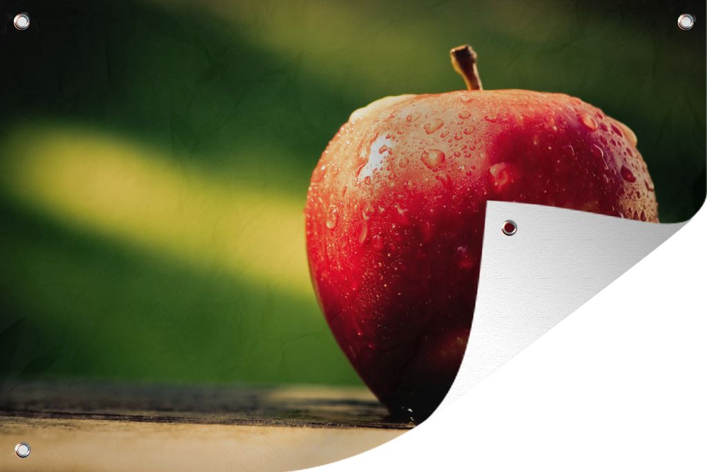 MuchoWow 90x60 cm Outdoor-Poster Gartendeko Sichtschutz Garten Poster für den Garten Obst - Rot - Apfel