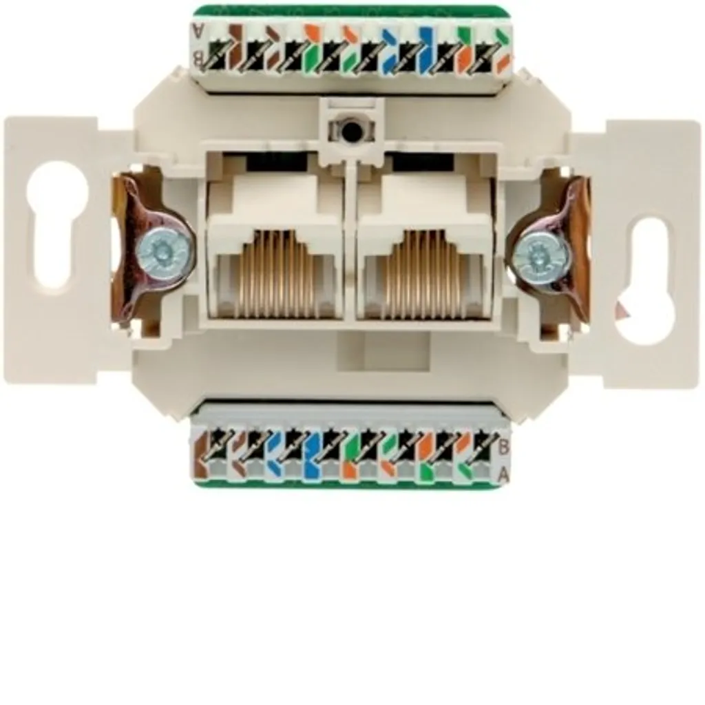 Double prise informatique UAE RJ45 Cat 5e Hager One Platform - Berker