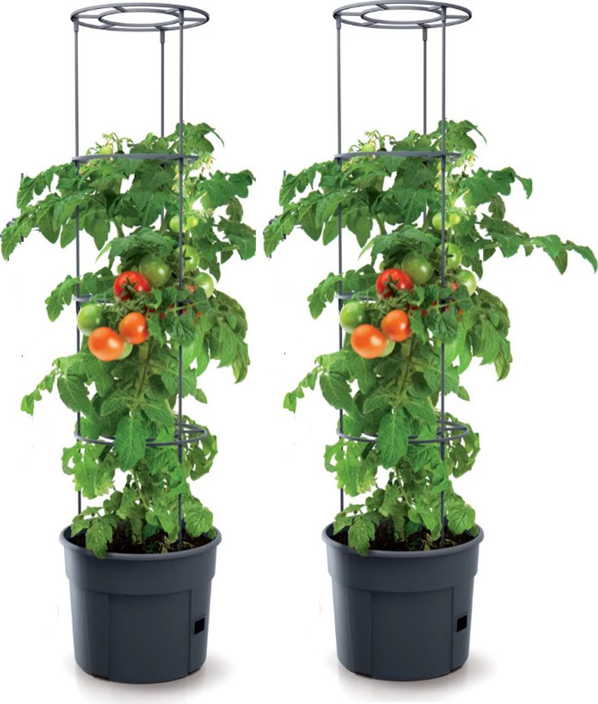 2 Stück Tomatentopf 153 cm Topf für Tomatenpflanzen 28L Tomatenzüchter Blumentopf Ø39,2cm KG