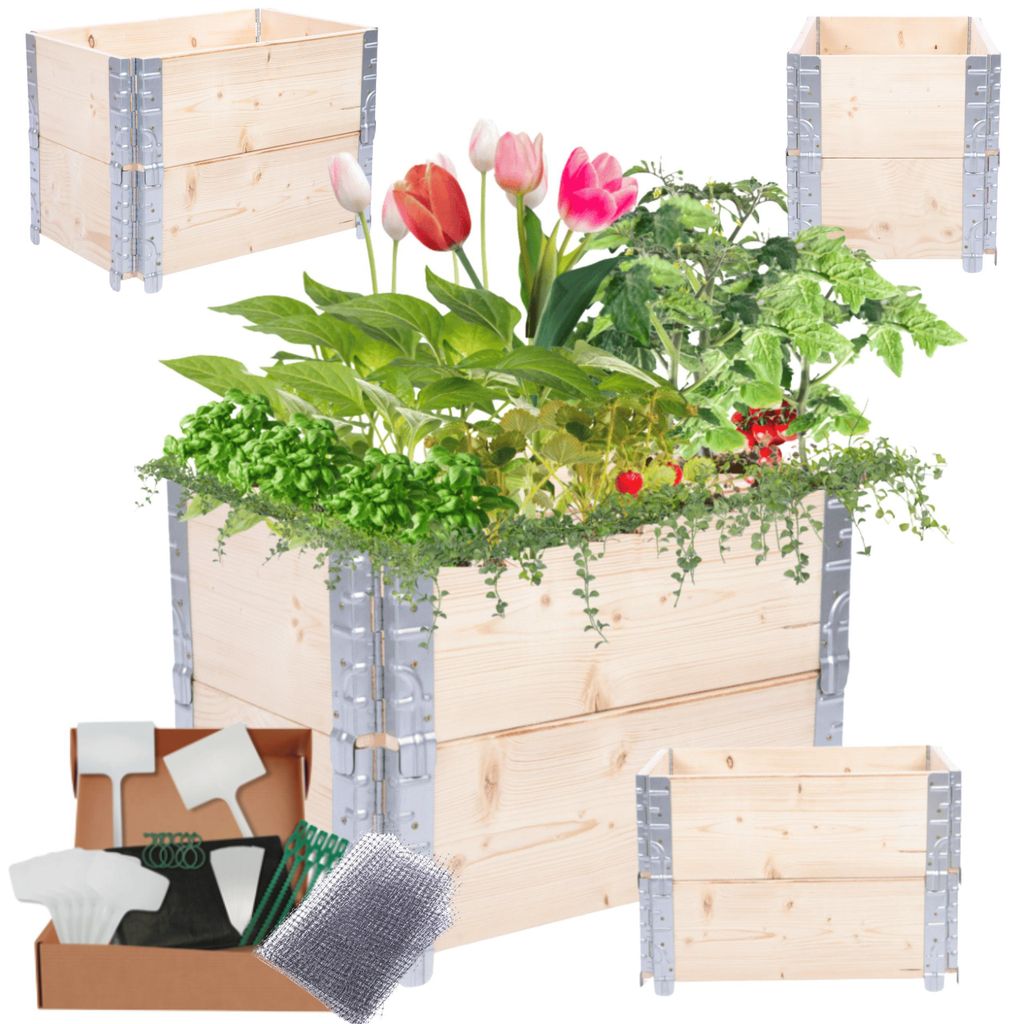 MODO24 Hochbeet Holz, Pflanzrahmen, Kräuterbeet, Gemüsebeet, Massivholz Kiefer, Garten, 40x60x40 cm, Natur unbehandelt, ZP10
