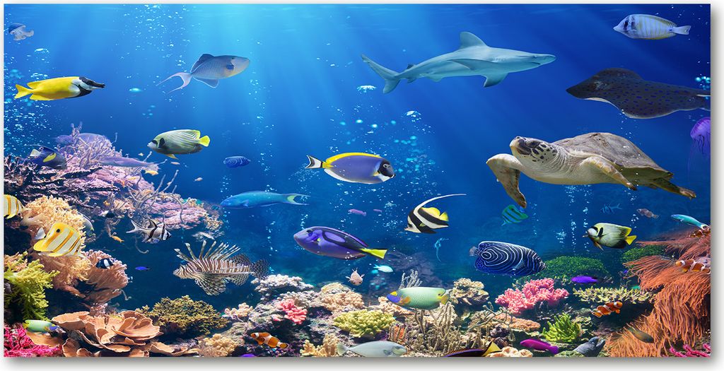Tulup Glas-Bild - 100x50 -Wandkunst - Wandbild hinter gehärtetem Sicherheitsglas - Tiere - Korallenriff - Blau