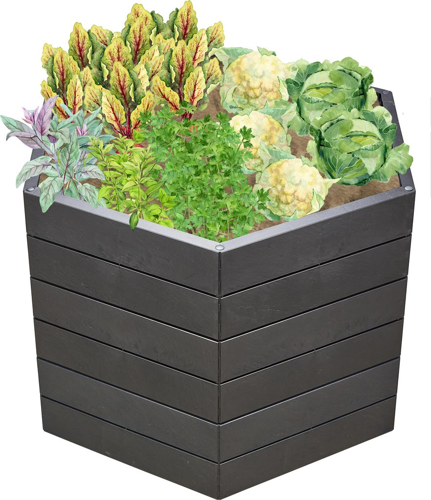 A raised garden bed filled with various vegetables and herbs.