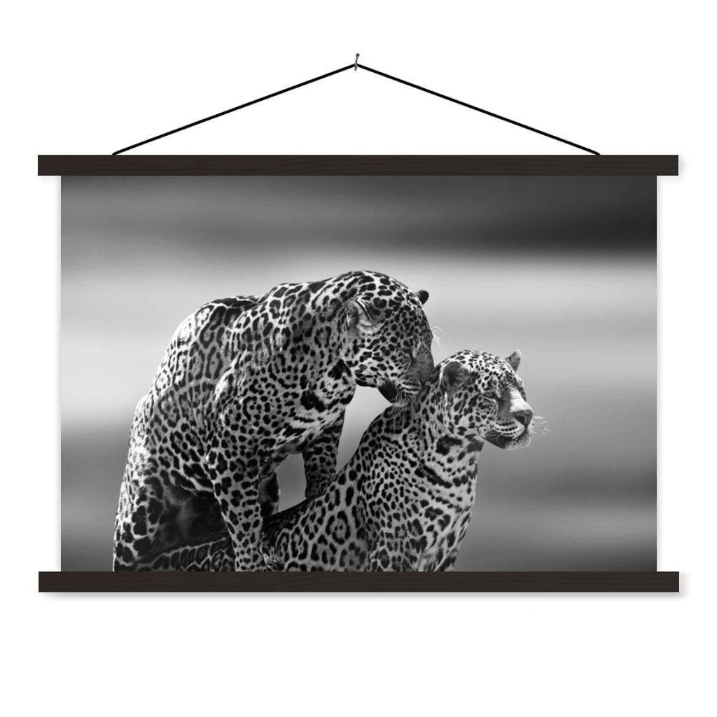 MuchoWow Textilposter Jaguar - Schwarz und Weiß - Natur 90x60 cm mit schwarzem Rahmen - Aufhängungssatz