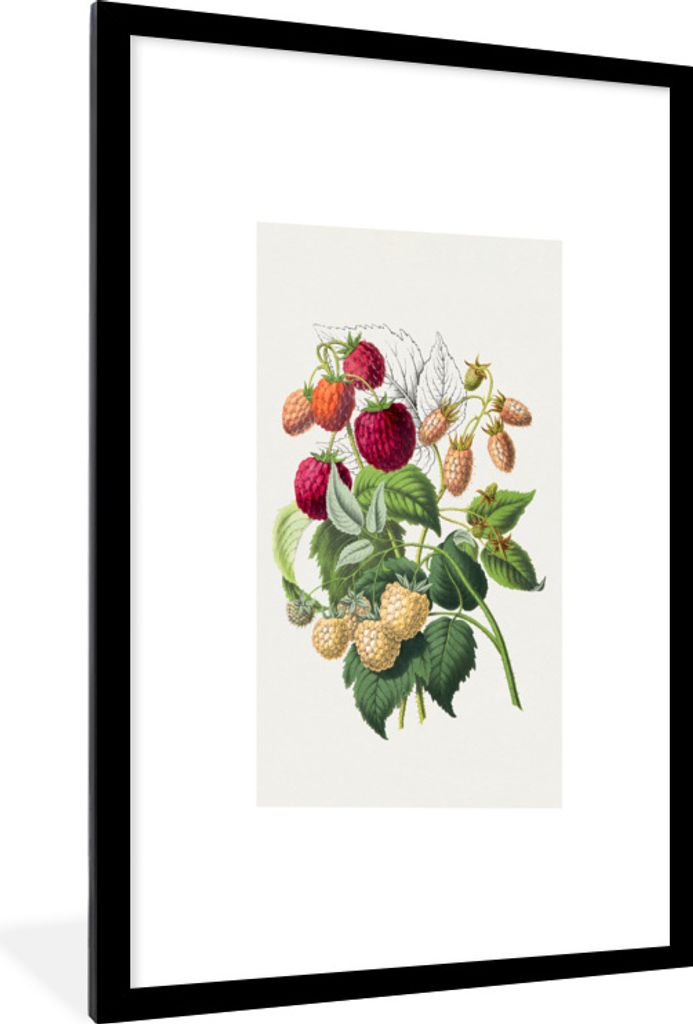 MuchoWow Gerahmtes Poster Himbeeren - Obst - Lebensmittel 60x90 cm - Poster mit Schwarzem Bilderrahmen Wandposter Rahmen Foto Bilder - Dekoration...