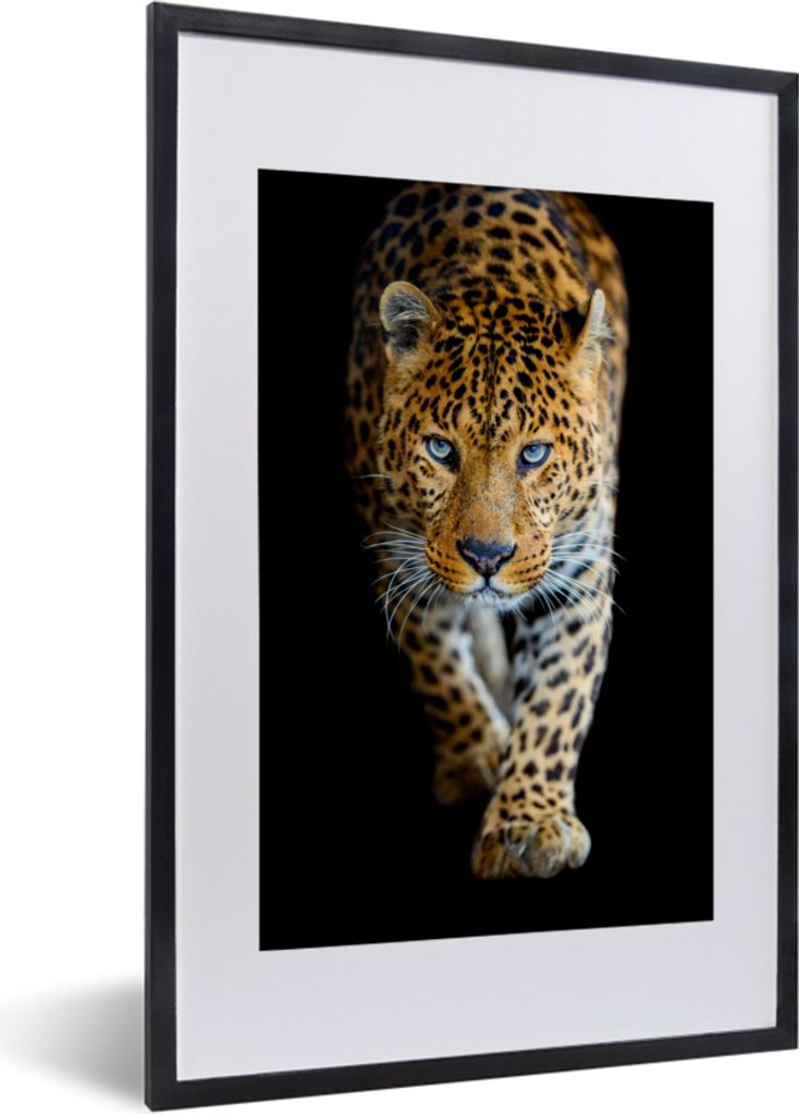 MuchoWow Gerahmtes Poster Leopard - Tiere - Porträt - Wildtiere - Schwarz 40x60 cm - Poster mit Schwarzem Bilderrahmen Wandposter Rahmen Foto Bi...