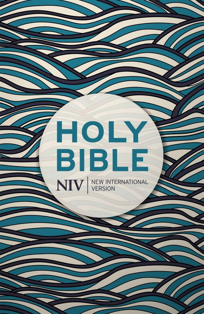 Niv Holy Bible – Lingua: Inglese