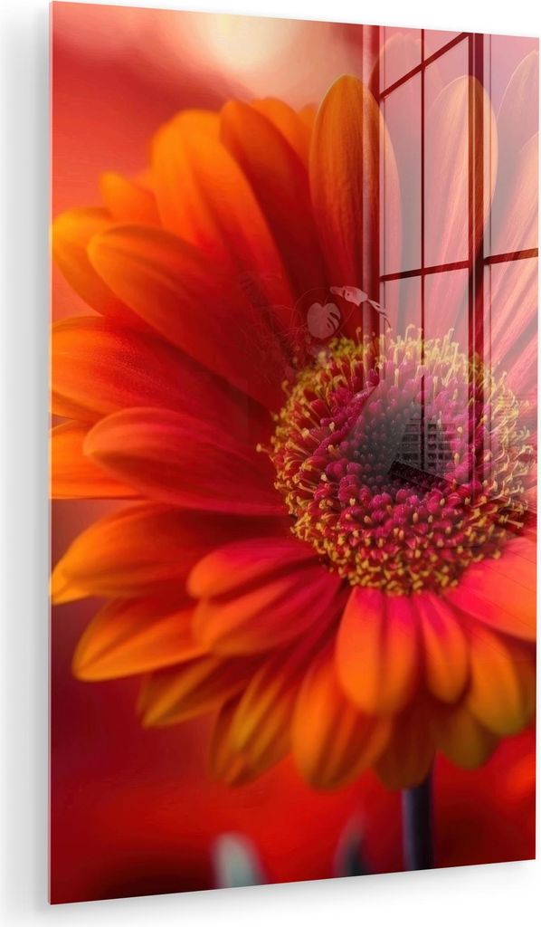 MuchoWow Glasbilder - Bilder auf Wandbild - Foto auf Glas Orange - Gerbera - Intensiv 40x60 cm Wanddekoration aus Glas - Acrylglasbild - Acrylbilde...
