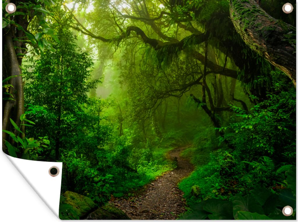 MuchoWow 80x60 cm Outdoor-Poster Gartendeko Sichtschutz Garten Poster für den Garten Landschaft - Dschungel - Tropisch - Sonne - Grün