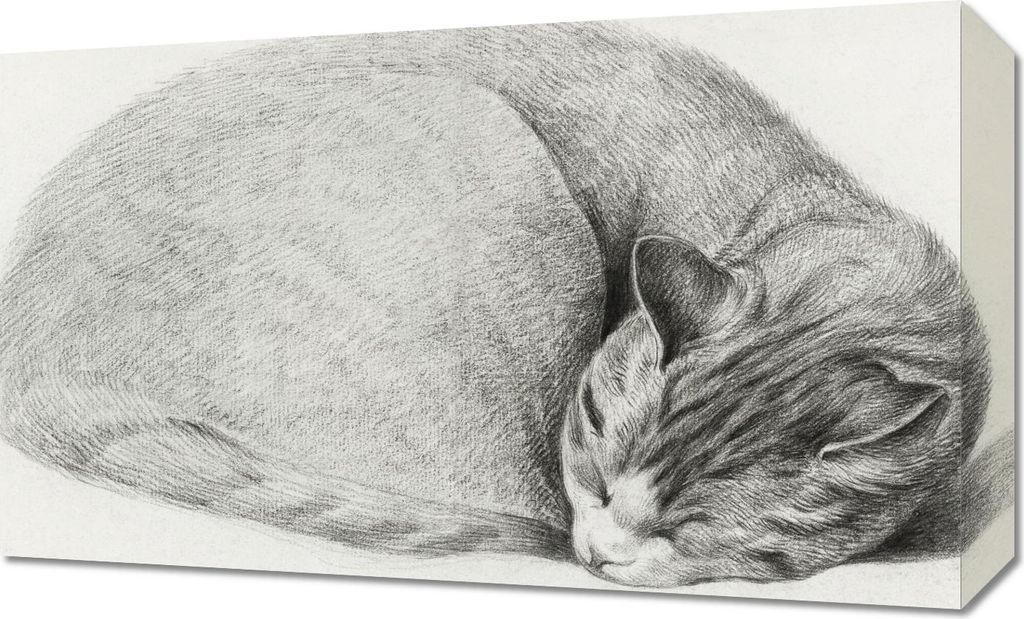 Bild 50x30cm Eingewickelte Katze, Jean Bernard Vintage für das Wohnzimmer