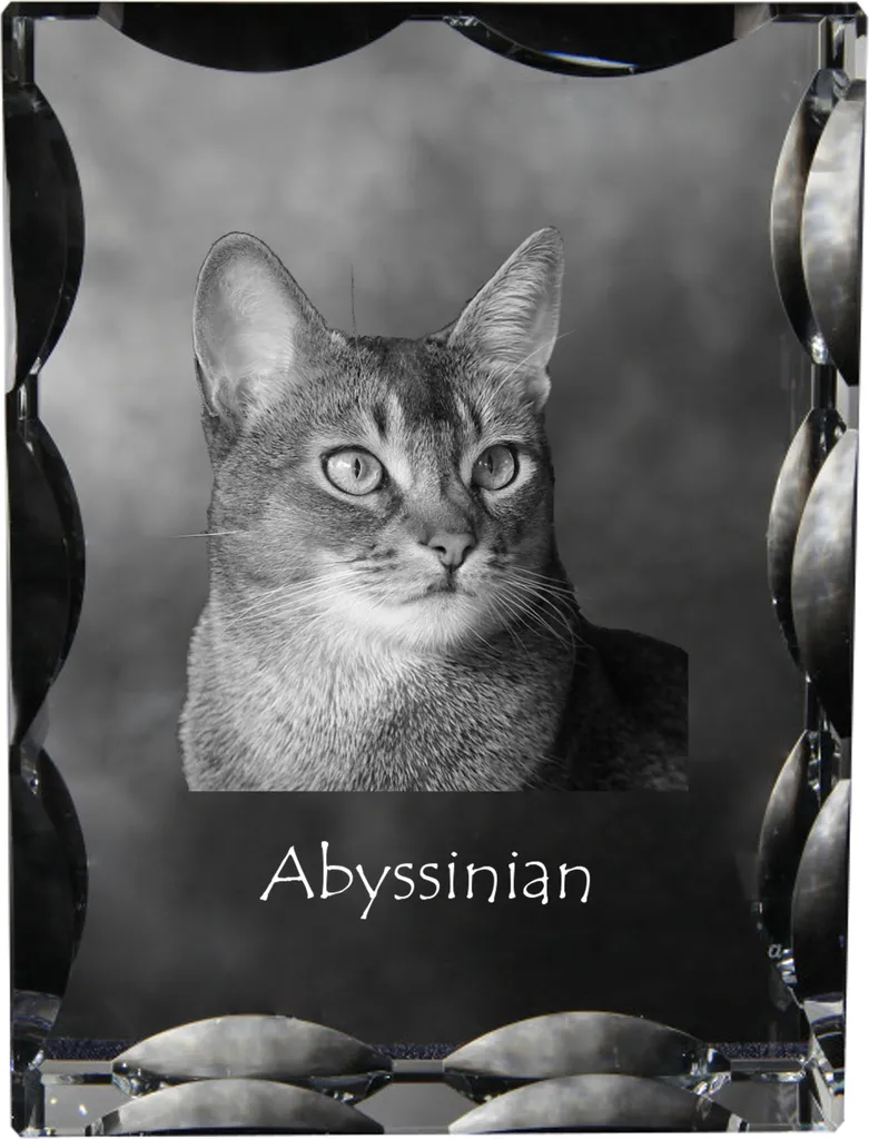 Statuette Chat d'Abyssinie en cristal : sublimez votre vitrine Art-Dog