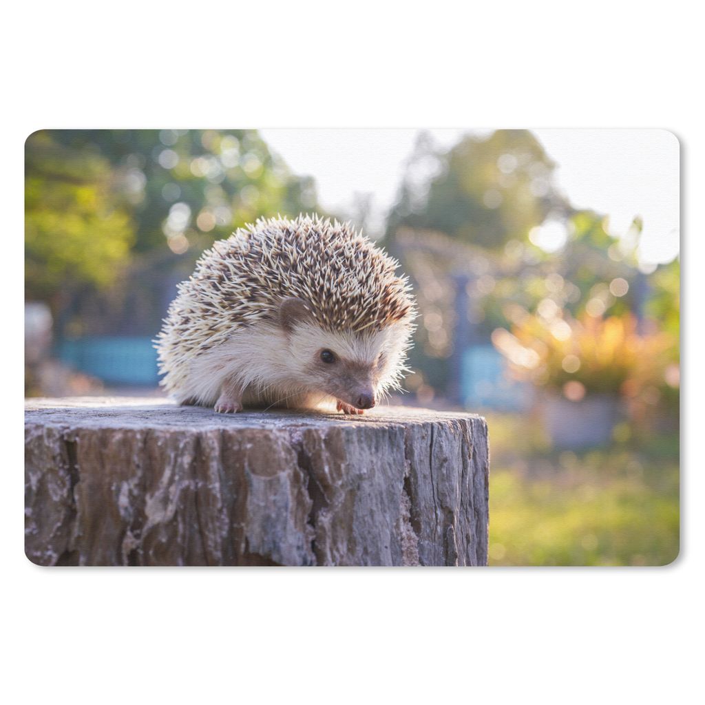 MuchoWow Schreibtischunterlage Igel auf einem Baumstamm 60x40 cm - XXL Mauspad - Großes Mauspad