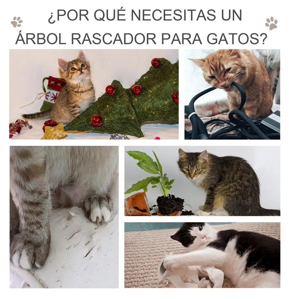 Arbre à chat solide en bois, 3 niveaux avec hamacs, durable et stable - 4