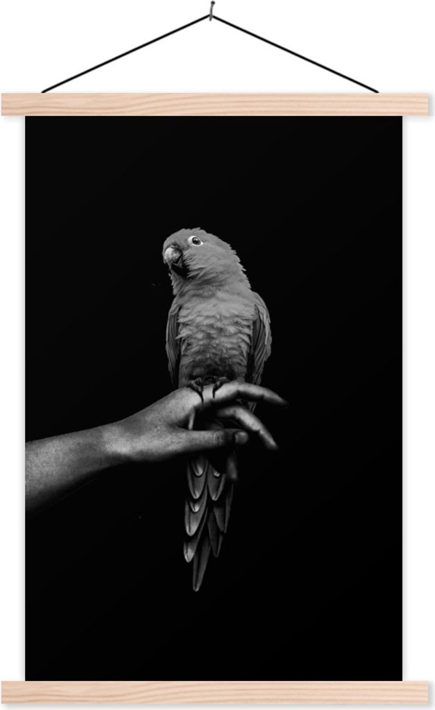 MuchoWow Textilposter Papagei auf einer Hand vor einem schwarzen Hintergrund - schwarz und weiß 40x60 cm mit holzfarbenen Rahmen - Poster
